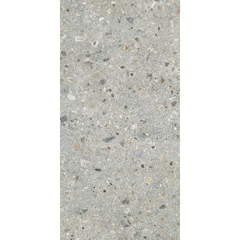 Carrelage Ceppo Di Gre multi 30x60cm - R10